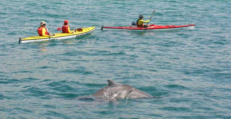 Sea Kayaking